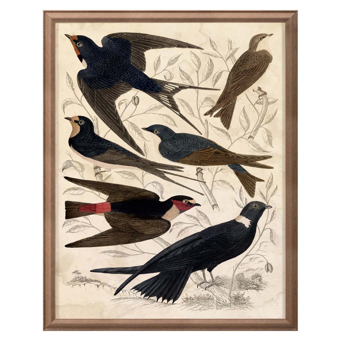 Gallivani Birds 1 - Premium Handmade Wooden Bird Figurines for Home Decor & Gift Giving | Perfect for Living Room, Office & Garden Decoration