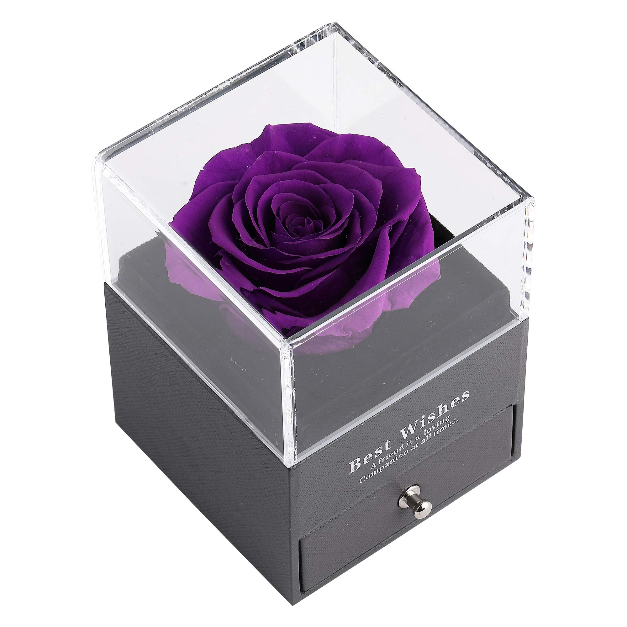 Enchanted Eternal Preserved Real Rose Gift Box with 'I Love You' Necklace in 100 Languages - Handmade Forever Rose Flower for Her (Silver Purple) - Perfect for Anniversaries, Valentine's Day & Romantic Surprises