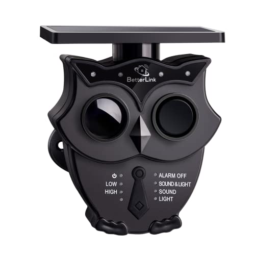 1Sensor