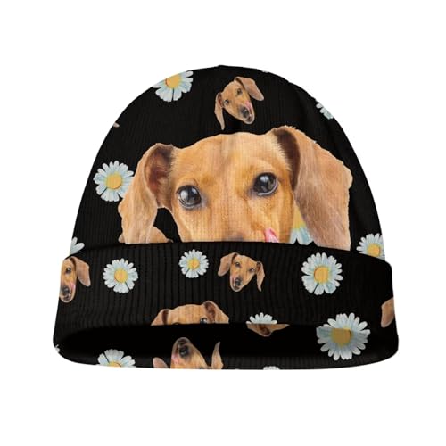 Daisy Dog Dachshund