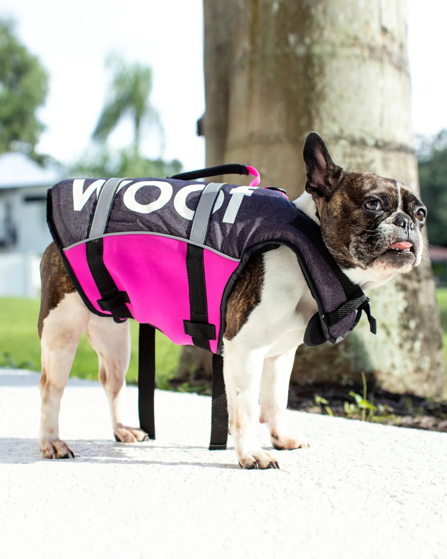 Pink Dog Life Jacket - Safe & Comfortable Pet Floatation Aid for Swimming, Boating & Water Activities