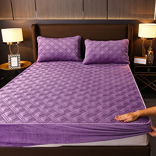 Purple 1