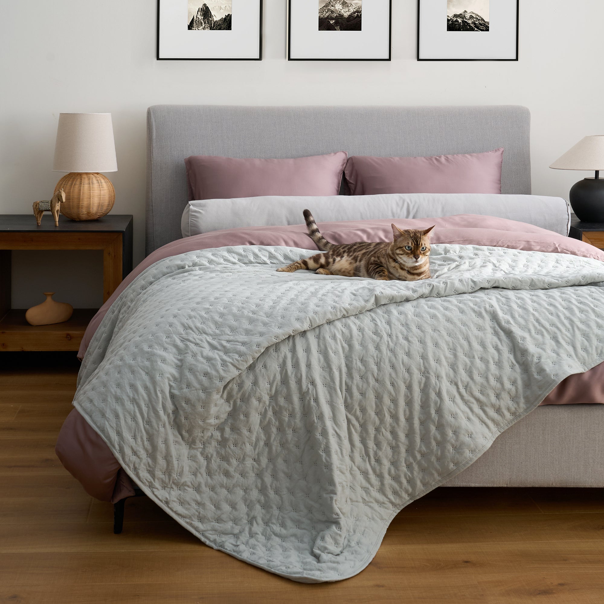 FURRFREE Dotted Pattern Quilt Set - Pet Hair Repellent Bedding for Dog & Cat Owners - Hypoallergenic Comfort for Allergy Sufferers - Perfect for Cozy Nights & Pet-Friendly Homes
