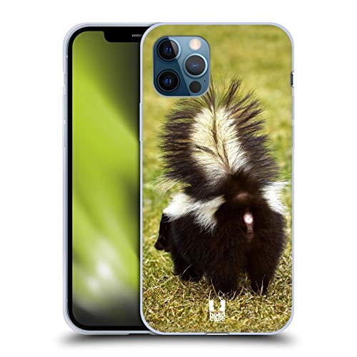 Striped Skunk