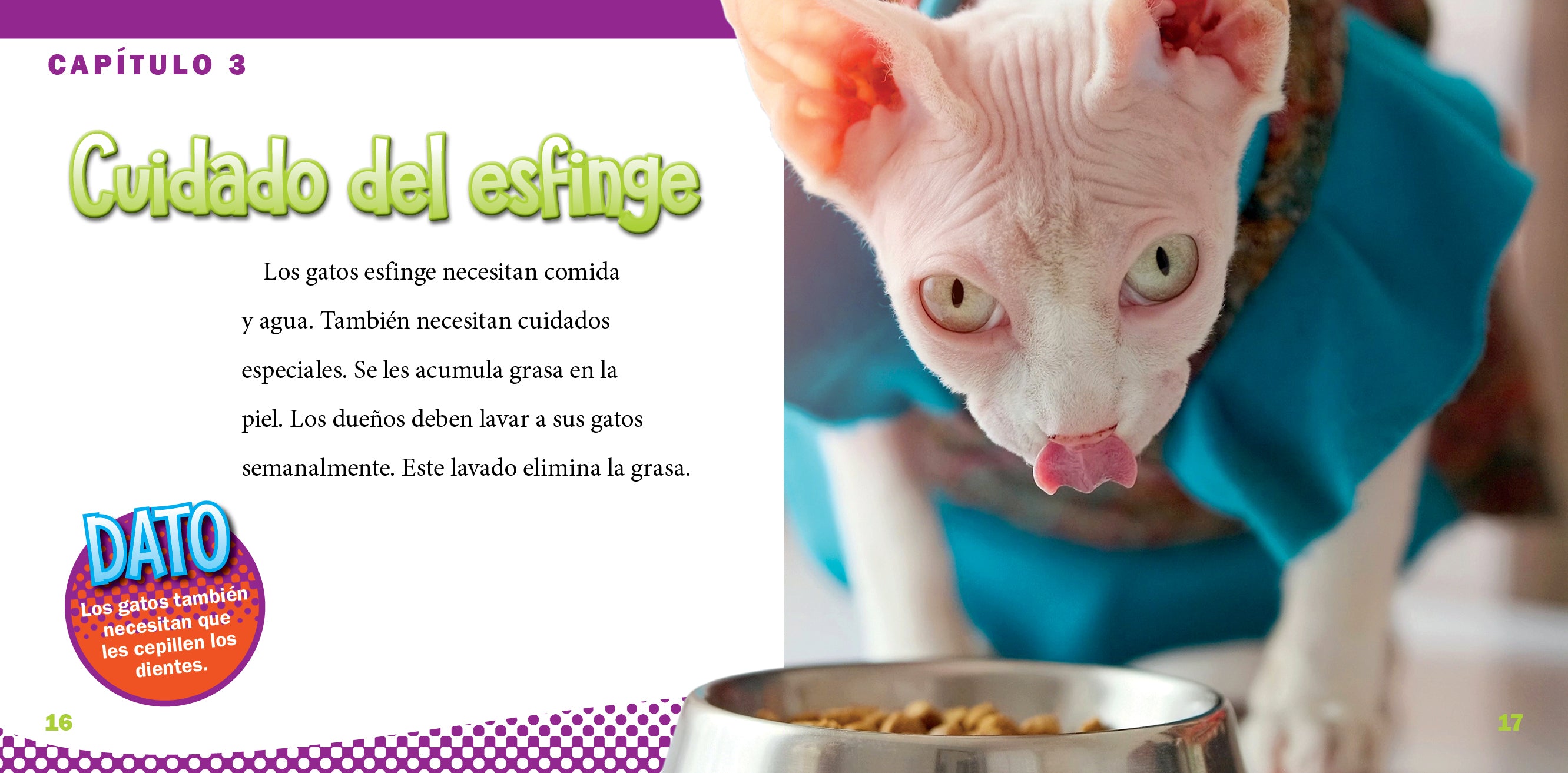 Hairless Cat Clothes for Sphynx Cats - Soft & Warm Pet Outfits for Indoor & Outdoor Use