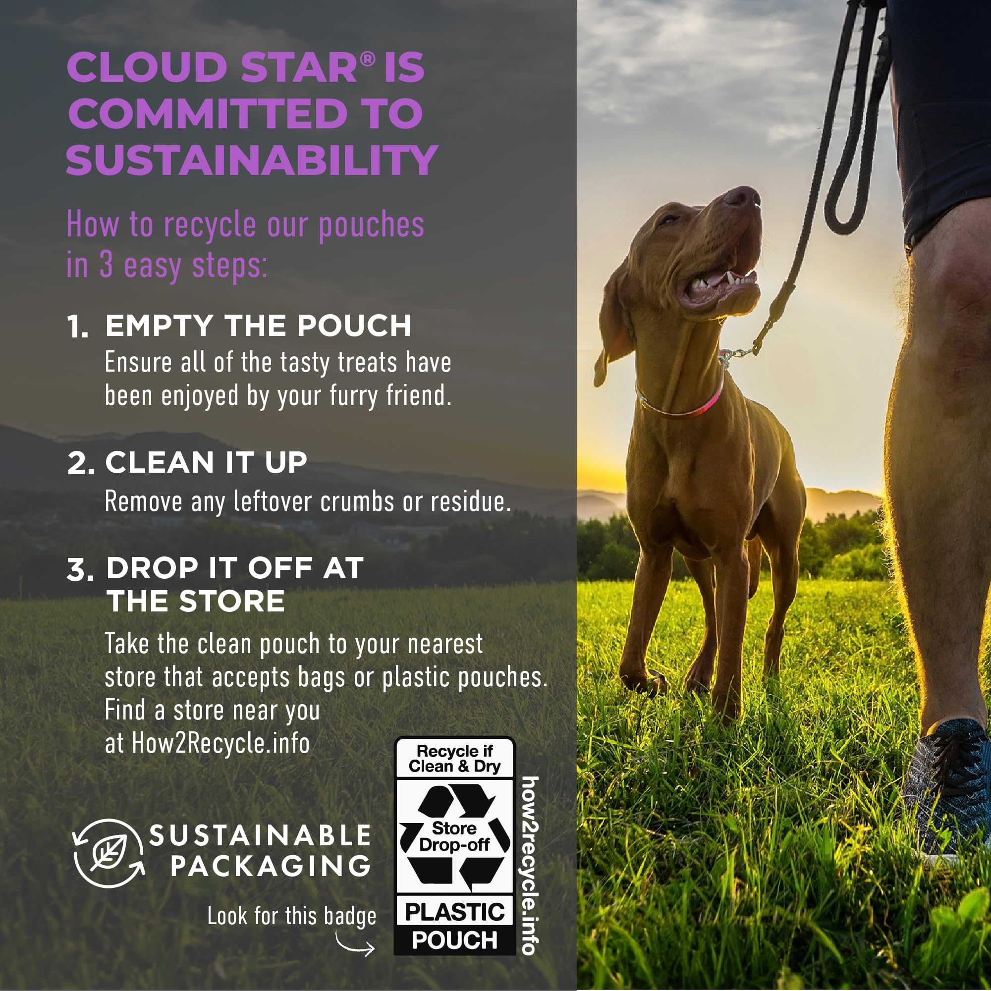 Cloud Star Tricky Trainers Soft & Chewy Dog Training Treats - Liver Flavor, 5 oz Pouch (130 Low Calorie Treats) | Perfect for Obedience Training, Positive Reinforcement & Behavior Modification