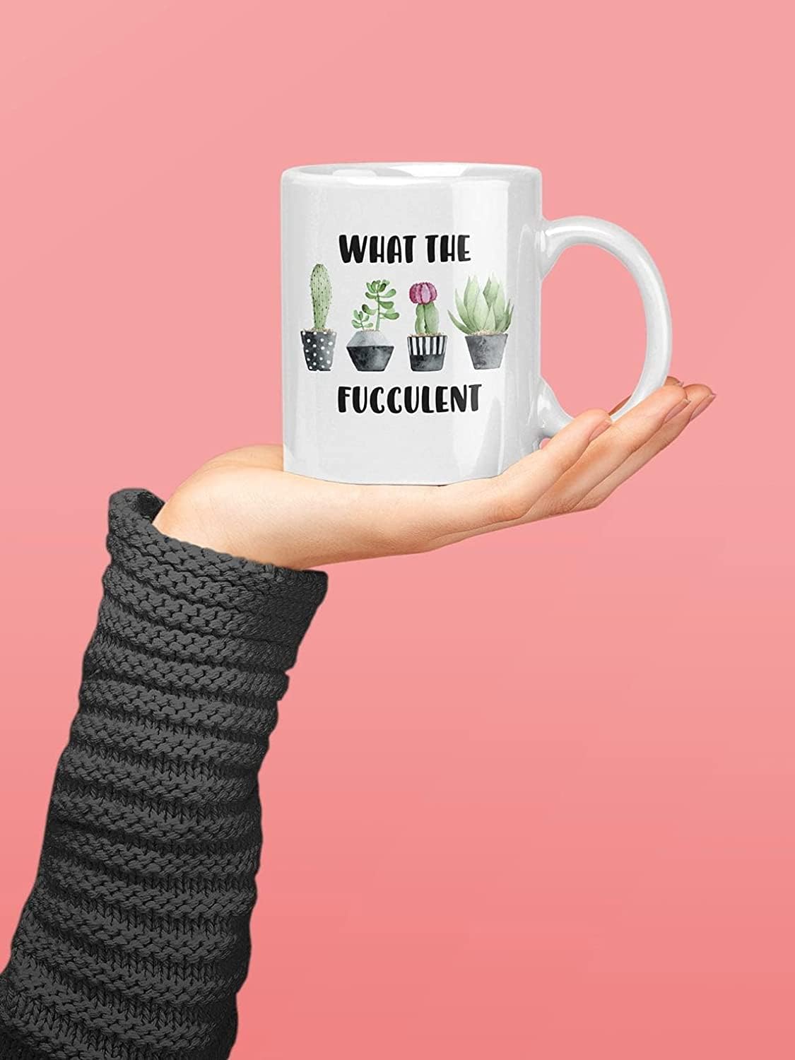 Funny Succulent Mug 11oz - Plant Pun Coffee Cup for Plant Lovers, Cute Houseplant Tea Mug - Perfect Gift for Gardeners & Succulent Enthusiasts (Ideal for Morning Coffee, Office Use, or Gift Giving)