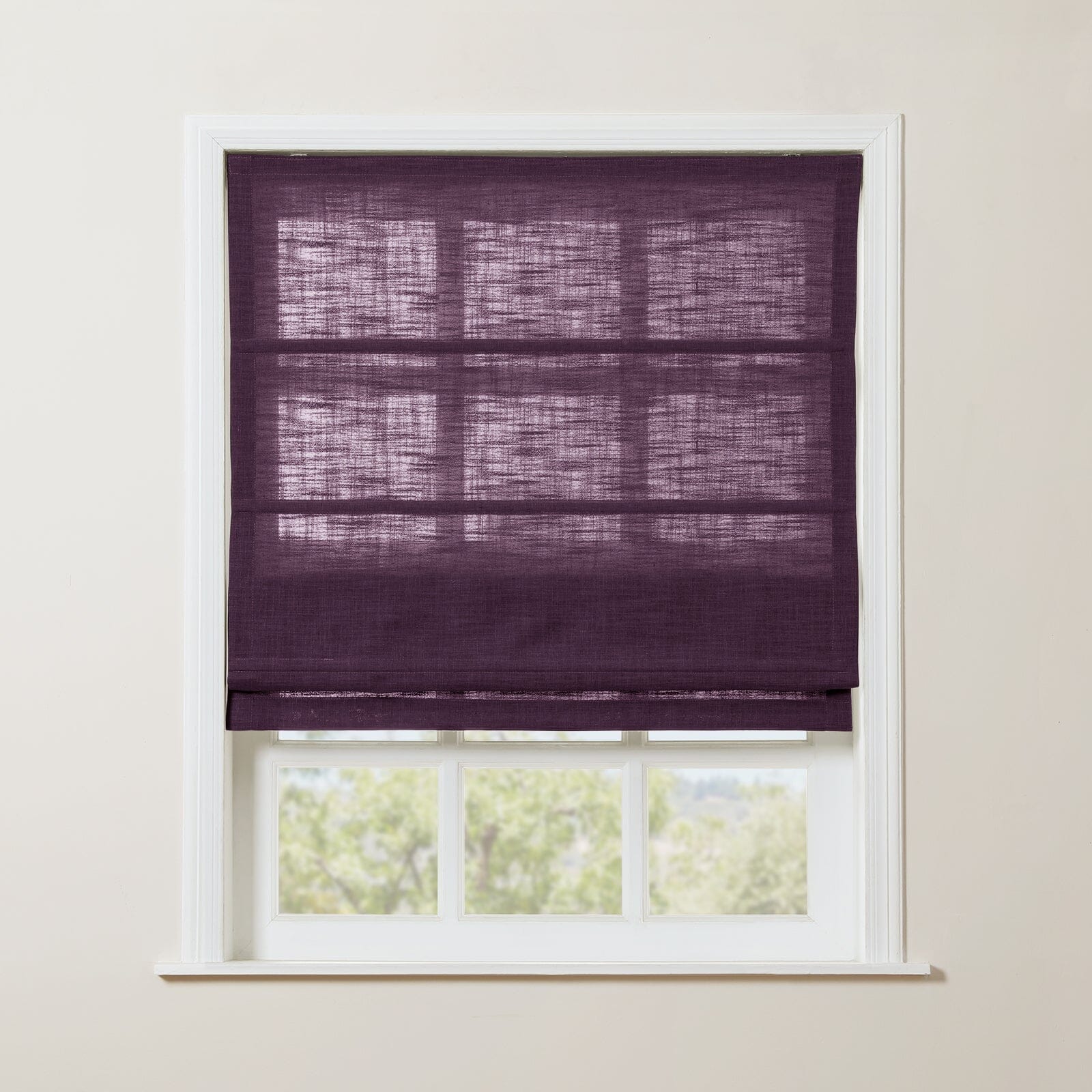 Plum 1908-21