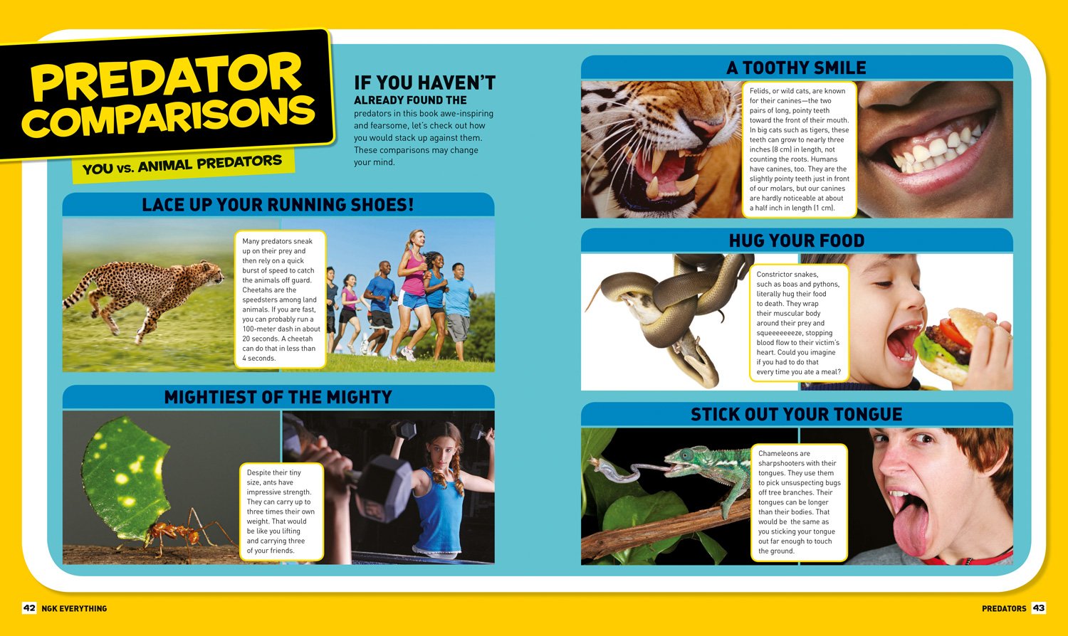 National Geographic Kids Everything Predators Book - Amazing Animal Photos, Fun Facts & Educational Content for Children | Perfect for Homeschooling, Classroom Learning & Young Wildlife Enthusiasts