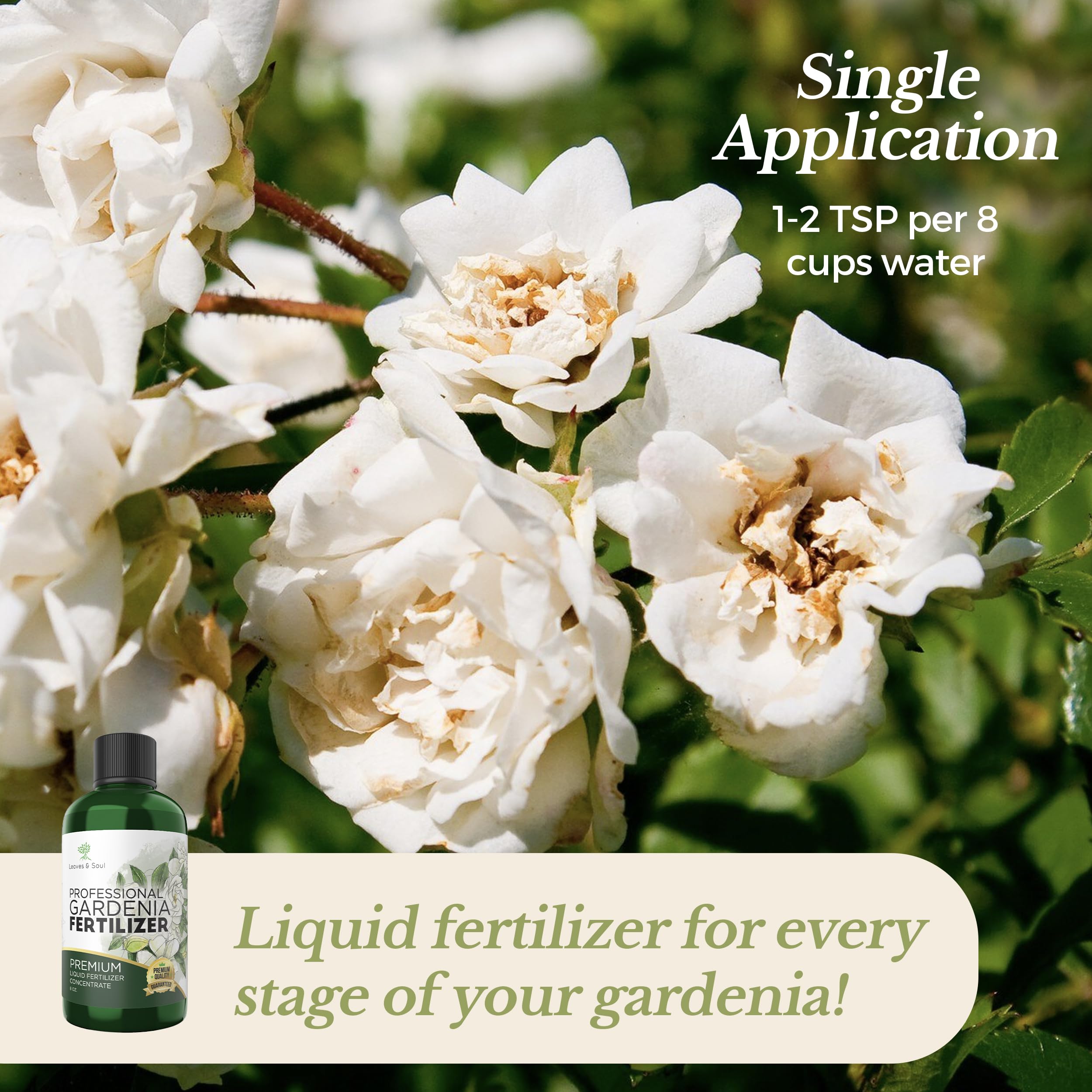 Premium Liquid Gardenia Plant Fertilizer 3-1-2 NPK Concentrate - Flowering Plant Food for Indoor & Outdoor Gardenias - 8oz Bottle for Healthy Blooms & Vibrant Growth - Ideal for Potted Plants, Landscaping & Home Gardening