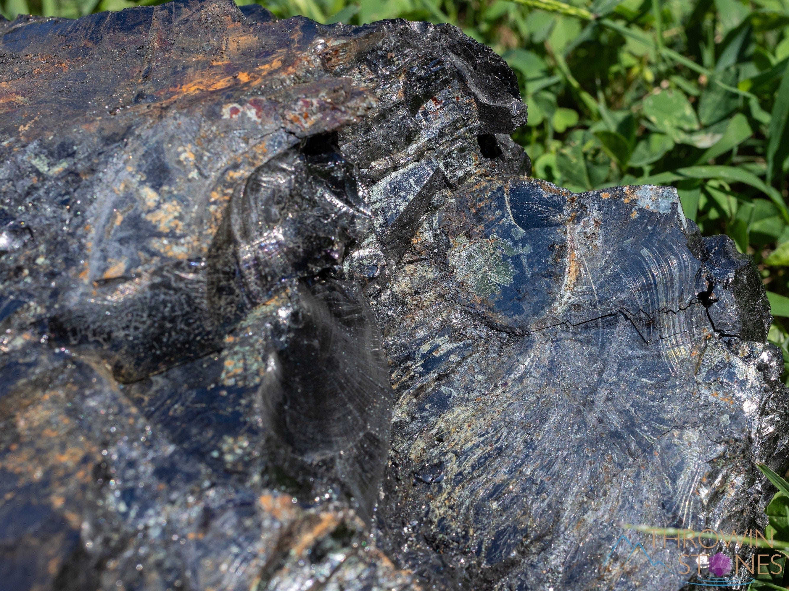 ELITE SHUNGITE Raw Crystal - Natural EMF Protection Stone, Home & Office Decor, Healing Crystals and Minerals (54428) for Meditation, Energy Cleansing & Spiritual Wellness