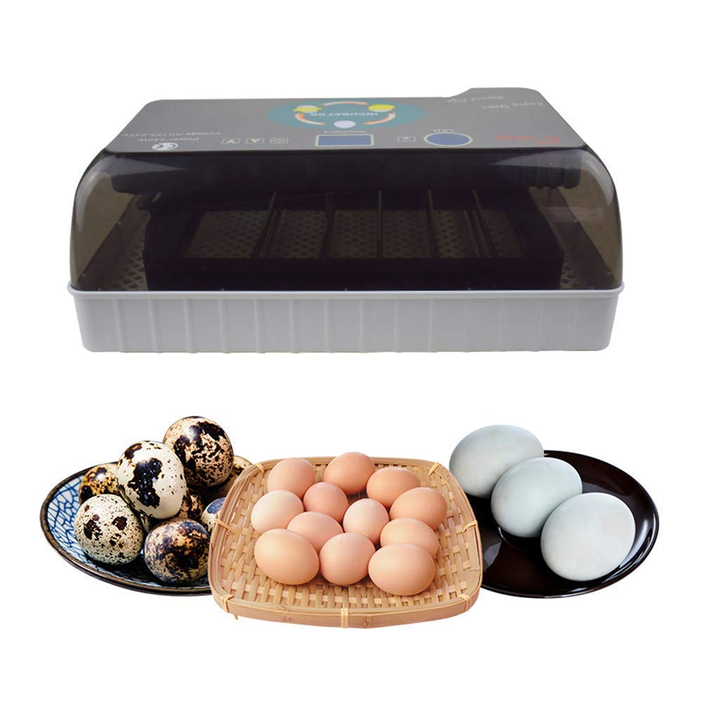 ZYBW 12 Egg Digital Incubator - Automatic Temperature Control with LED Display for Chicken, Duck, Goose & Quail Eggs - Perfect for Home Poultry Farming & Hatching Projects