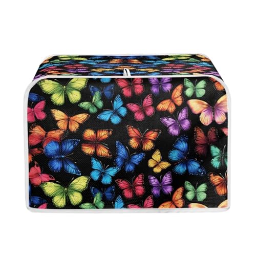 Colorful Butterfly