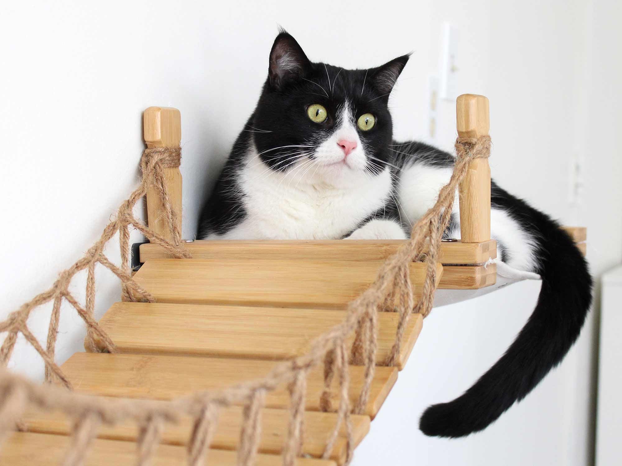 Wall-Mounted Cat Bridge with Fabric Lounger - Space-Saving Cat Tree for Indoor Play & Relaxation | Perfect for Small Apartments & Kitty Nap Zones