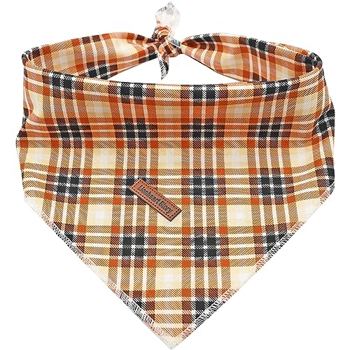 Fall Plaid