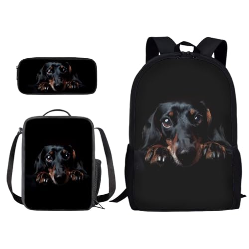 Funny Dachshund