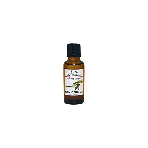 100% Pure Eucalyptus Essential Oil - 1oz Bottle for Aromatherapy, Diffusers & Massage | Natural Stress Relief & Respiratory Support