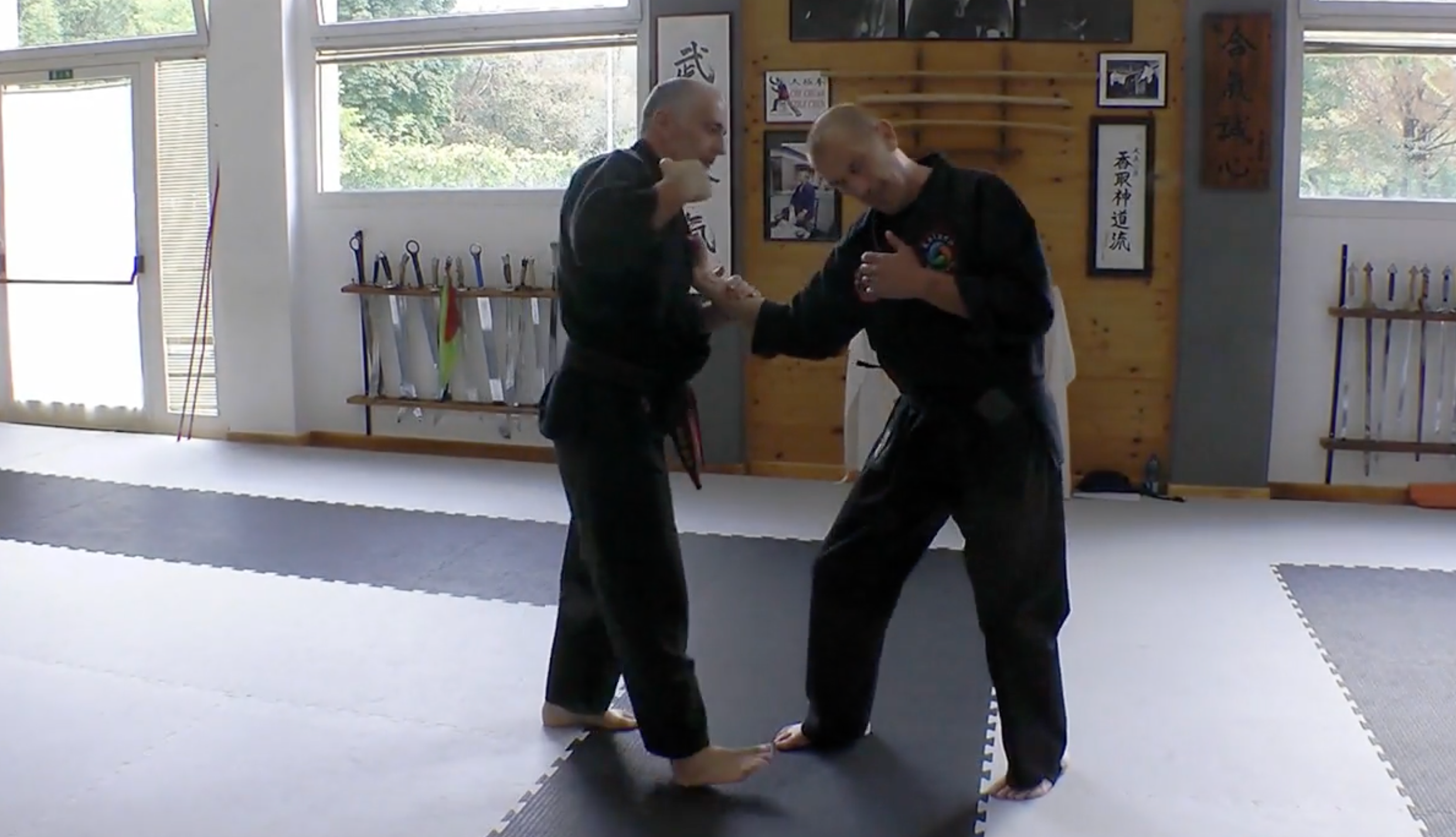Become a Kyusho Instructor DVD 1 by Gianluca Frisan - Learn Pressure Point Techniques for Self-Defense & Martial Arts Training