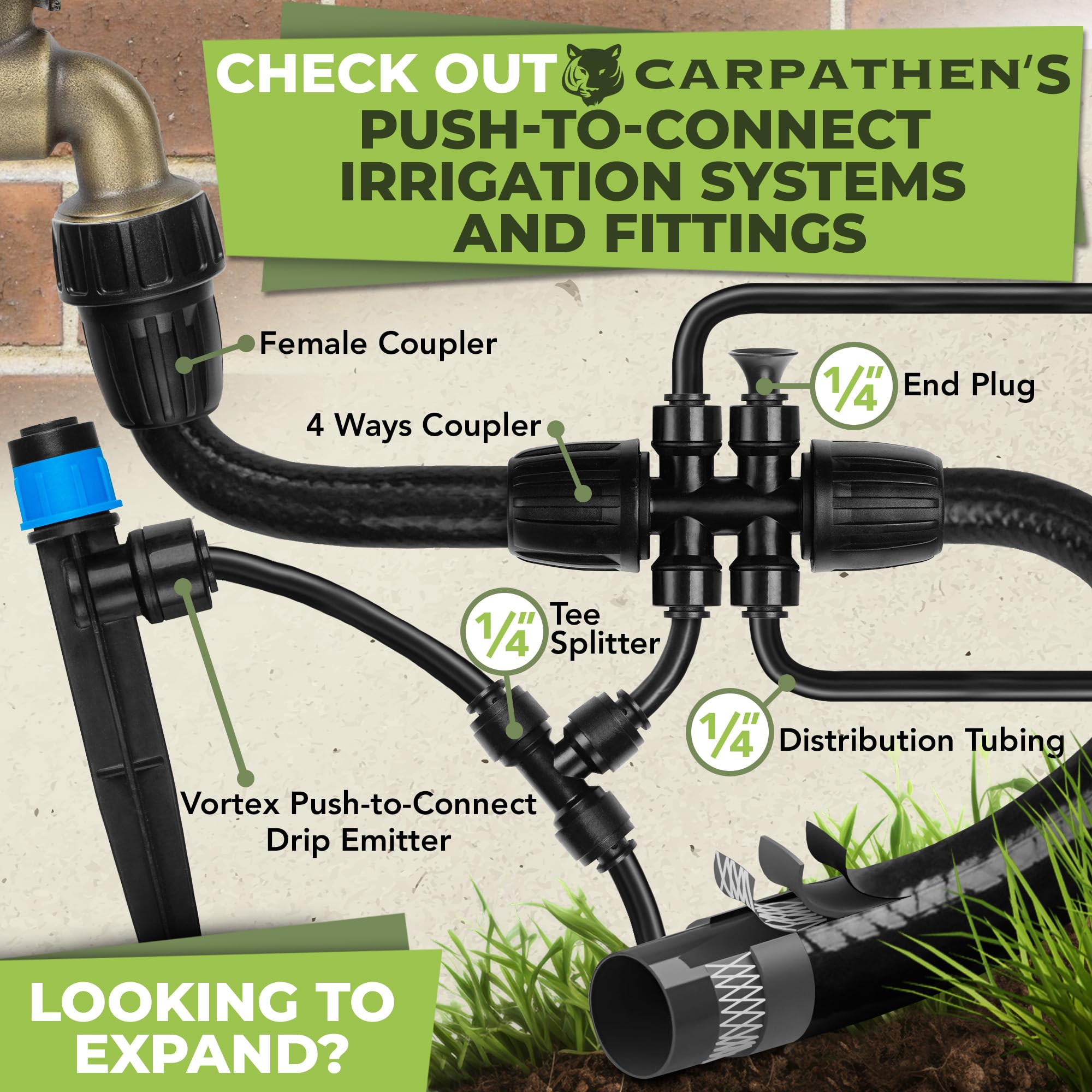 **Carpathen 50 FT 1/2 Inch Drip Irrigation Tubing - Heavy Duty Garden Hose for Push-To-Connect Systems, Blank Distribution Tubing for Lawns, Greenhouses & DIY Gardening Projects**