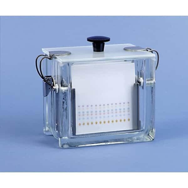 Analtech Developing Latch-Lid Tank for 20x20 cm Plates - 5 Plate Capacity | Secure Storage for Laboratory & Research Use