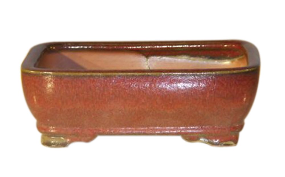 Parisian Red Ceramic Bonsai Pot - 7.0 x 5.5 x 2.375 Inch Rectangle Planter for Indoor Plants | Perfect for Bonsai Trees, Succulents & Home Decor