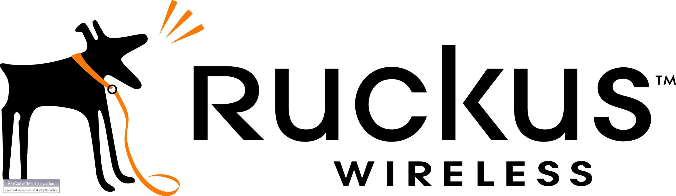 RUCKUS WIRELESS 801-1205-1000 ZD1205 1-Year End User Support License - Enterprise WiFi Network Maintenance & Troubleshooting Solution for Business IT Infrastructure