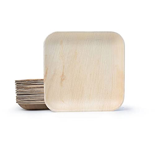 Eco-Friendly 8 Inch Square Palm Leaf Plates - 25 Pc Compostable & Biodegradable Disposable Dinnerware for Parties, Picnics, and Outdoor Events