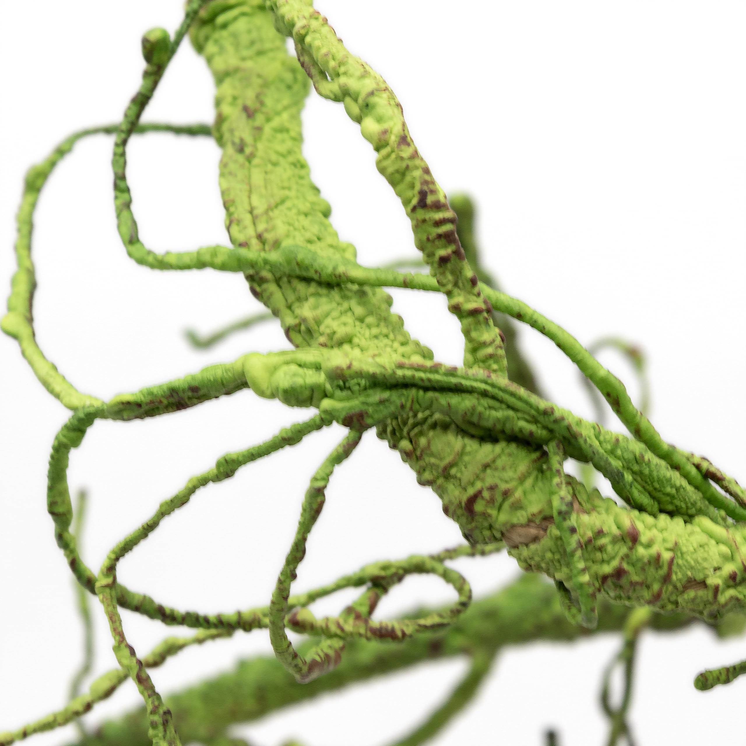 Pangea Reptile Ultimate Vine for Terrarium Habitat - Natural Green Climbing Branch for Lizards, Snakes & Geckos - Perfect for Jungle & Rainforest Terrarium Decor