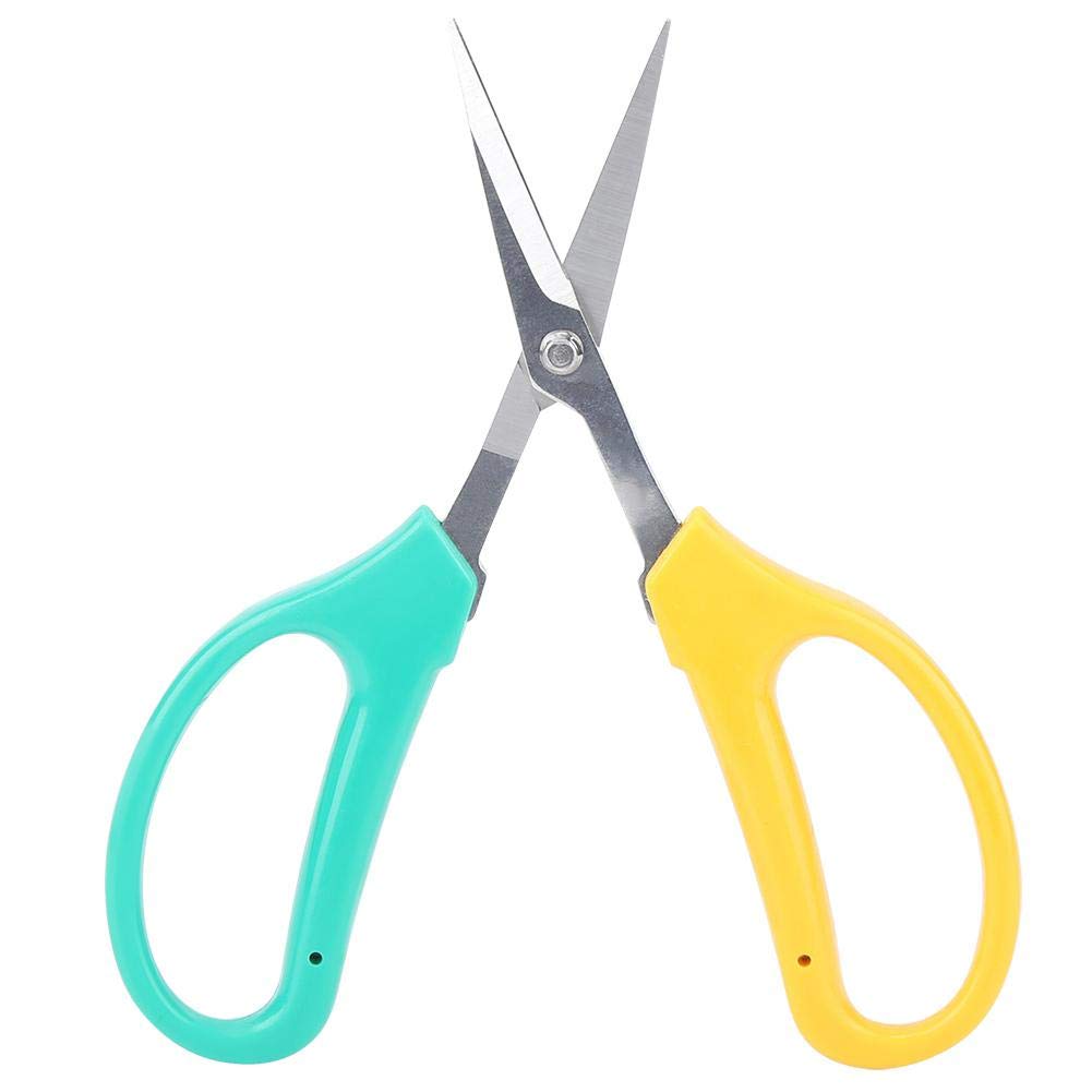 Stainless Steel Curved Blade Grape Pruning Shears - Professional Fruit Picking Scissors for Gardening, Bonsai Care, and Fruit Tree Maintenance - Perfect for Harvesting Grapes, Pruning Bonsai, and Trimming Garden Plants