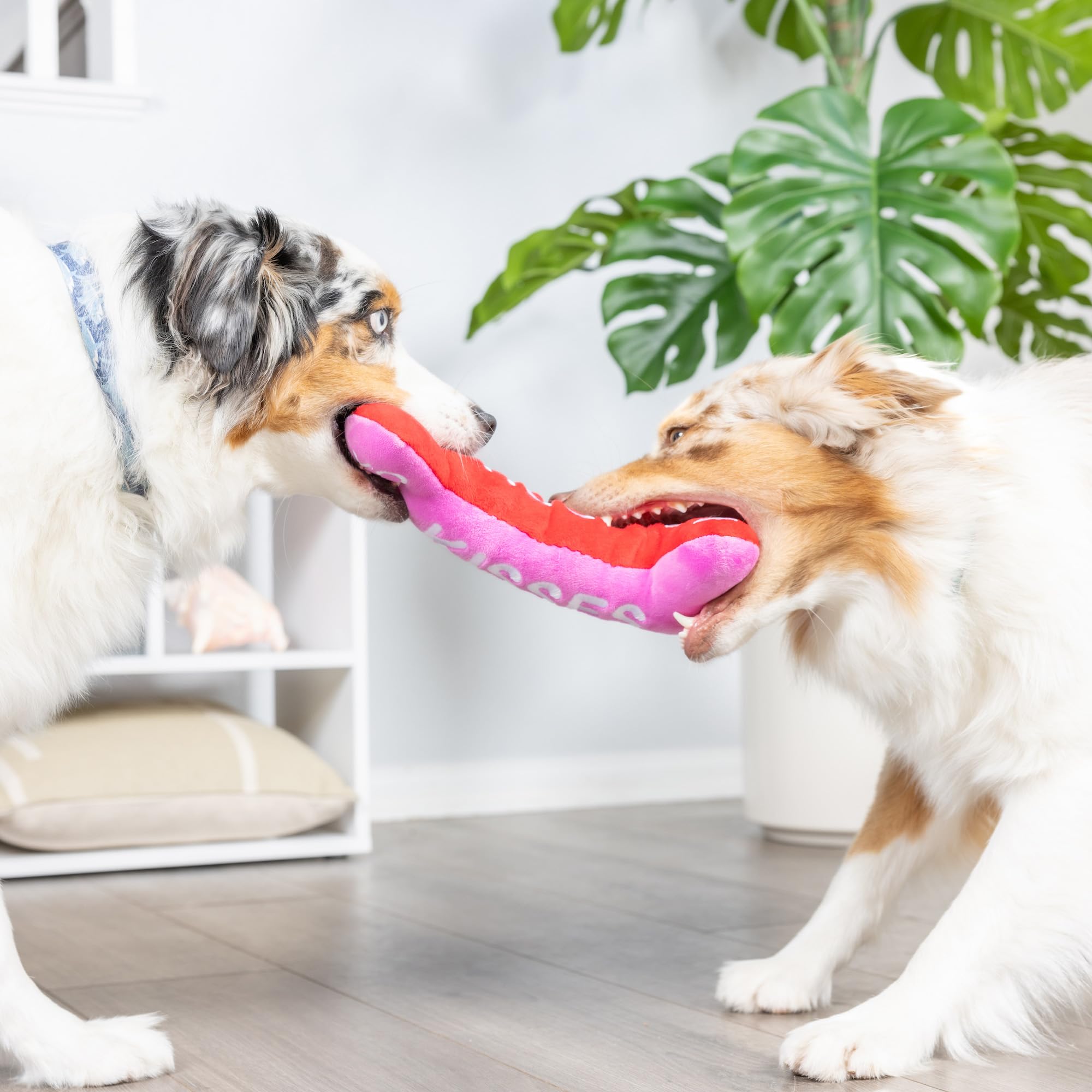 Huxley & Kent Squeaky Dog Toy - Hugs & Kisses Bone 2.0 Plush Chew Toy for Small Dogs with Fun Squeaker - Valentine's Day Gift for Dogs - Durable & Soft Power Plush - Perfect for Playtime, Training & Cuddling