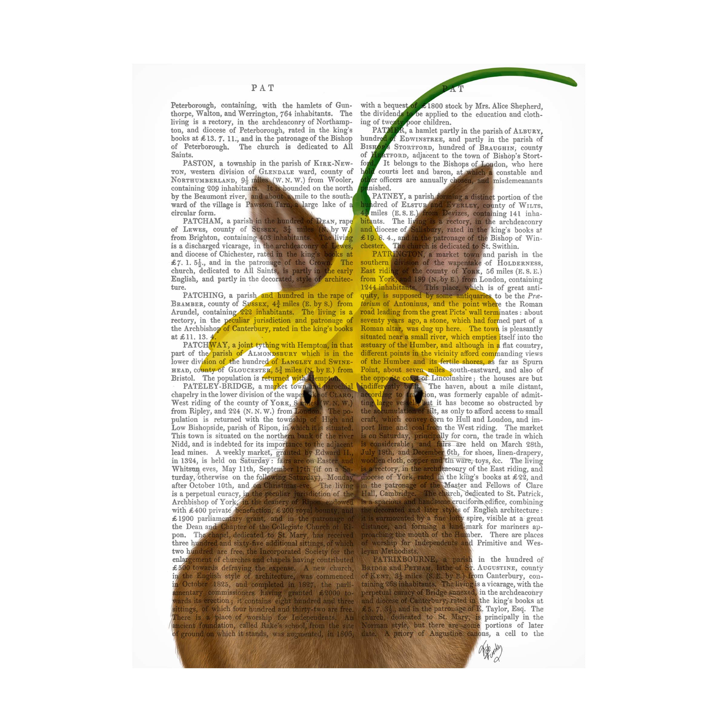 Trademark Fine Art 'Daffodil Rabbit Book Print' Canvas Wall Art by Fab Funky - Perfect for Nursery, Kids Room Decor & Spring Home Decor