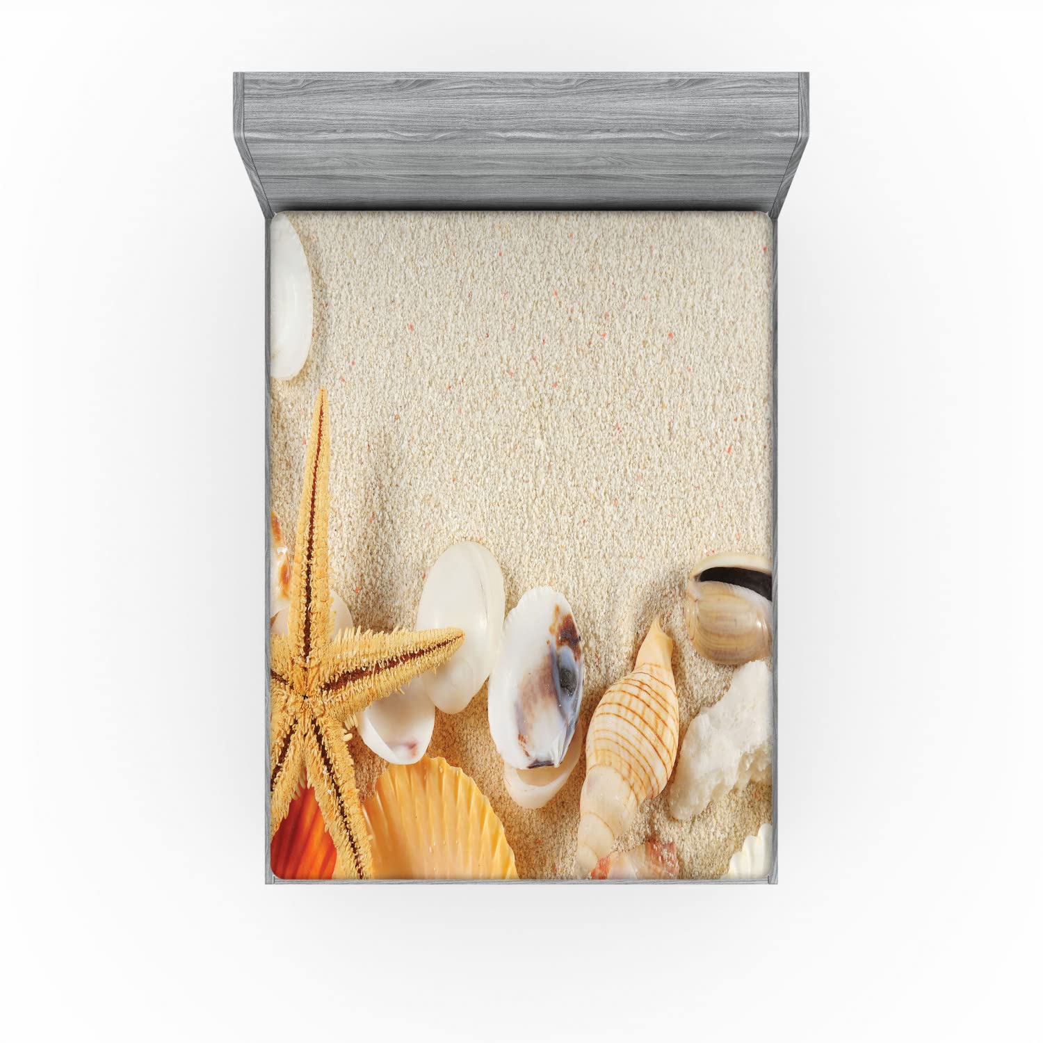Ambesonne Seashells Fitted Sheet - Queen Size Beige Ivory Cream Bed Cover with Deep Pocket Elastic | Coastal Beach Theme Bedding Set | Perfect for Guest Rooms, Vacation Homes & Nautical Decor