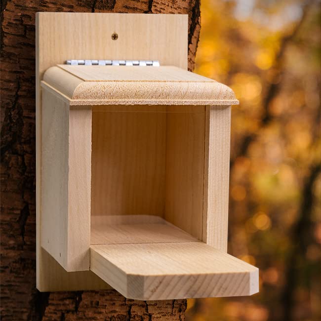 Premium Wooden Squirrel Peanut Feeder Box - Outdoor Wildlife Feeding Station for Backyard, Garden, and Park Use