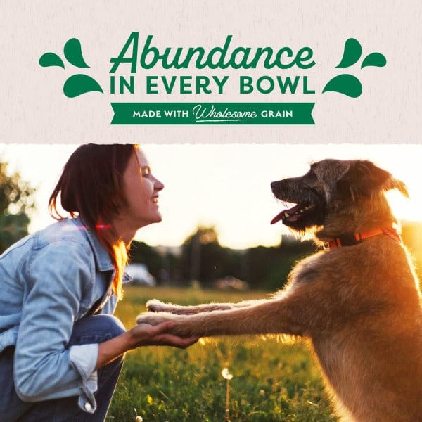 Natural Balance Original Ultra Lamb Recipe Paté Canned Dog Food - Grain-Free, High Protein Wet Food for Adult Dogs - Perfect for Picky Eaters & Sensitive Stomachs