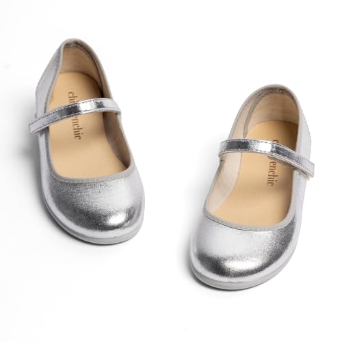 Silver Shimmer