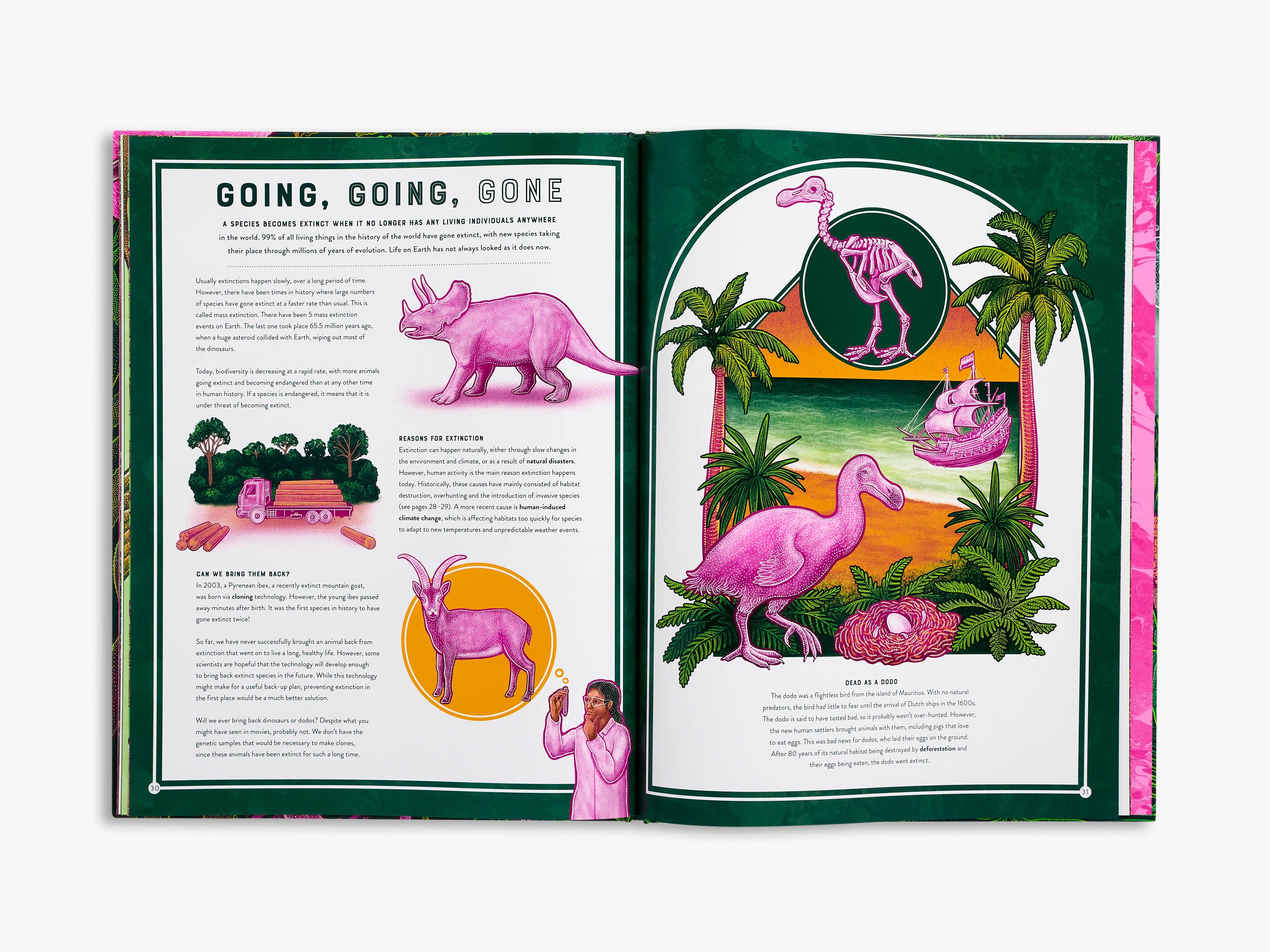 Life (Wild Wonders) - Explore Nature's Beauty | Perfect for Home Decor, Gifts & Wildlife Enthusiasts