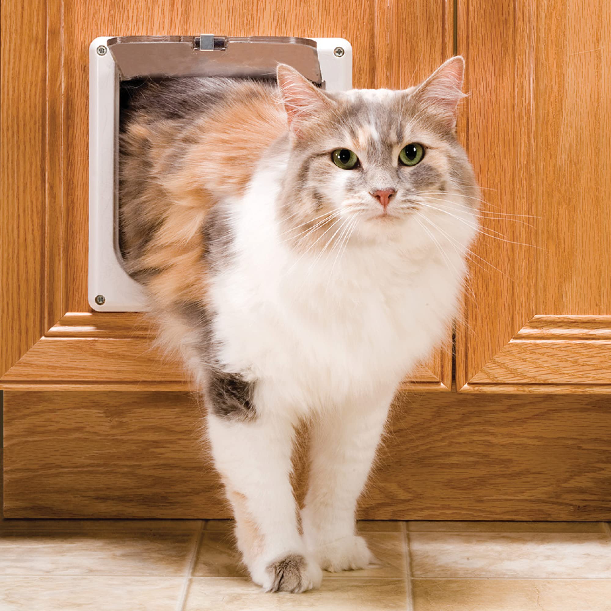 PetSafe Interior Cat Door with 2-Way Locking - Tinted Privacy Pet Door for Litter Box or Feeding Area, Durable Frame & Easy DIY Installation (Hardware Included) - Perfect for Apartments, Homes with Indoor Cats