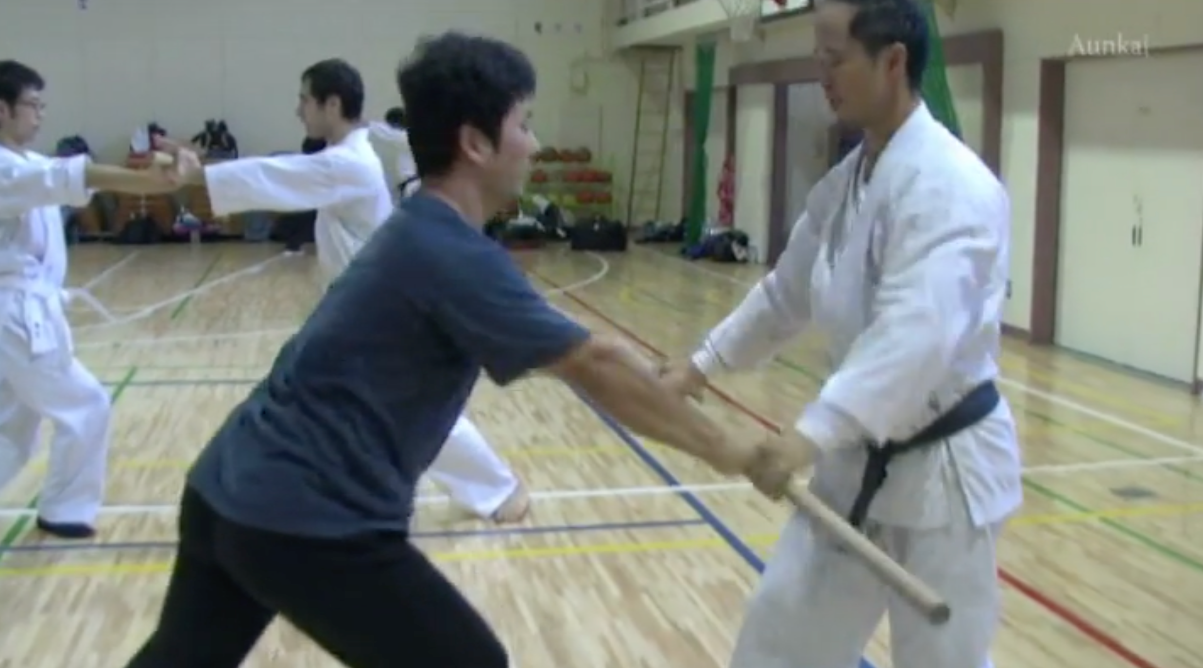 Preowned Aunkai 3 DVD Set by Minoru Akuzawa - Authentic Japanese Martial Arts Training Videos for Self-Defense & Fitness Practice at Home