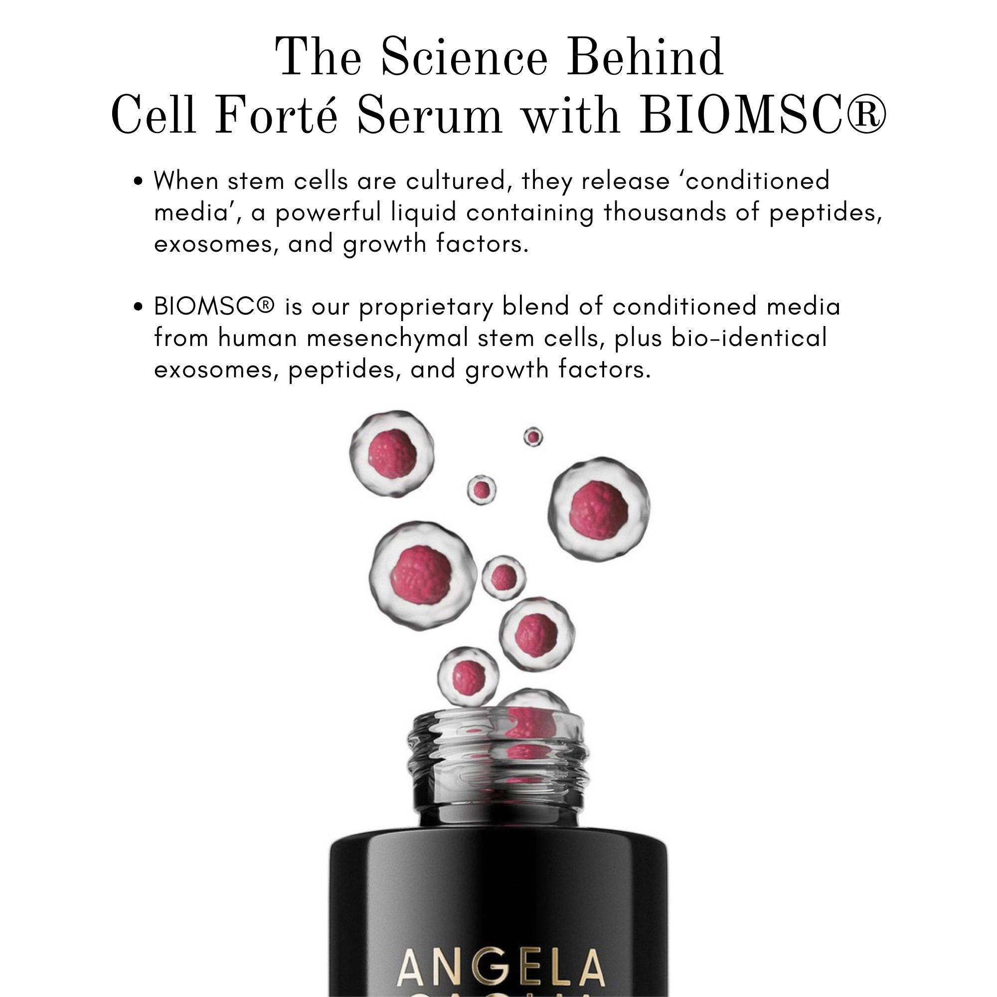 Cell Forté Serum with BIOMSC - Anti-Aging Face Serum for Wrinkles & Fine Lines | Hydrating & Firming Skincare for Daily Use