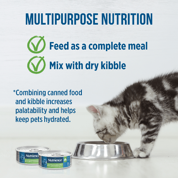 Nutrience Original Chicken Pate Canned Kitten Food - High Protein Wet Cat Food for Kittens, Grain-Free & Nutrient-Rich - Perfect for Weaning, Growth & Picky Eaters