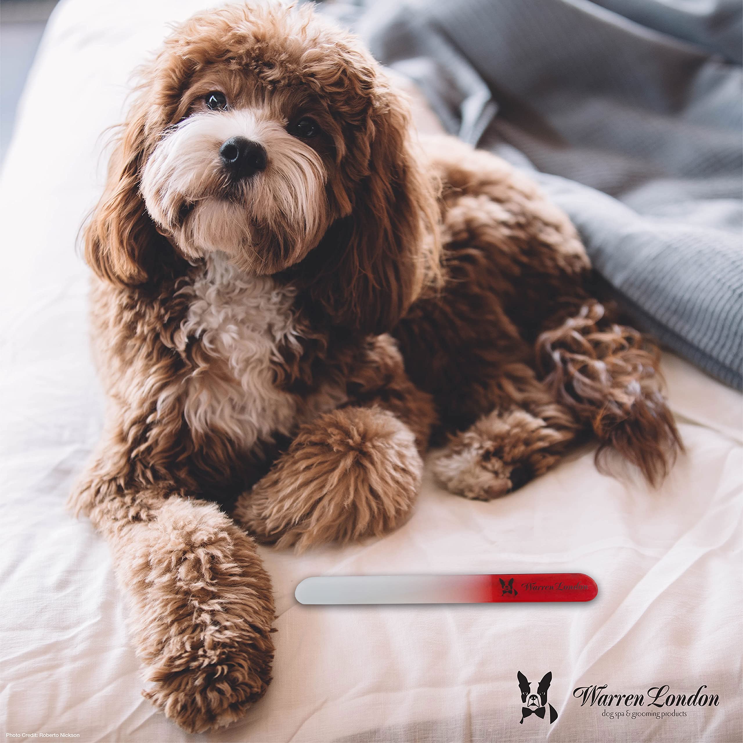 Warren London Glass Dog Nail File - Premium Sandblasted Pet Nail Clipper for Safe & Gentle Dog Grooming - Perfect for At-Home Dog Nail Care & Trimming - Ideal for Small, Medium & Large Dogs
