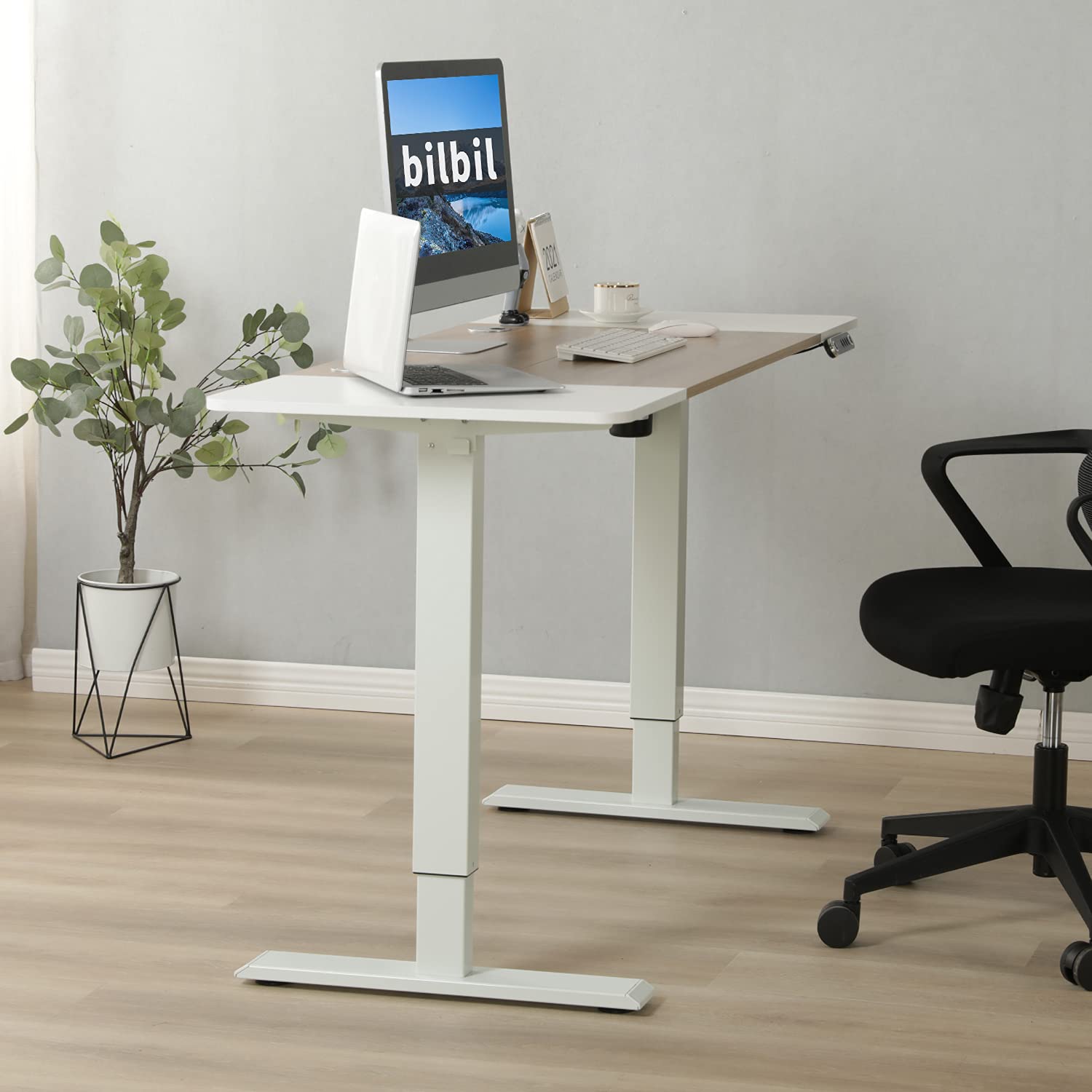 55 x 24 Inches Electric Height Adjustable Standing Desk with Memory Settings - Solid Wood Top & Double-Beam Construction - Anti-Collision Smart Office Desk for Home & Workspace - Perfect for Remote Work, Gaming & Study Setup