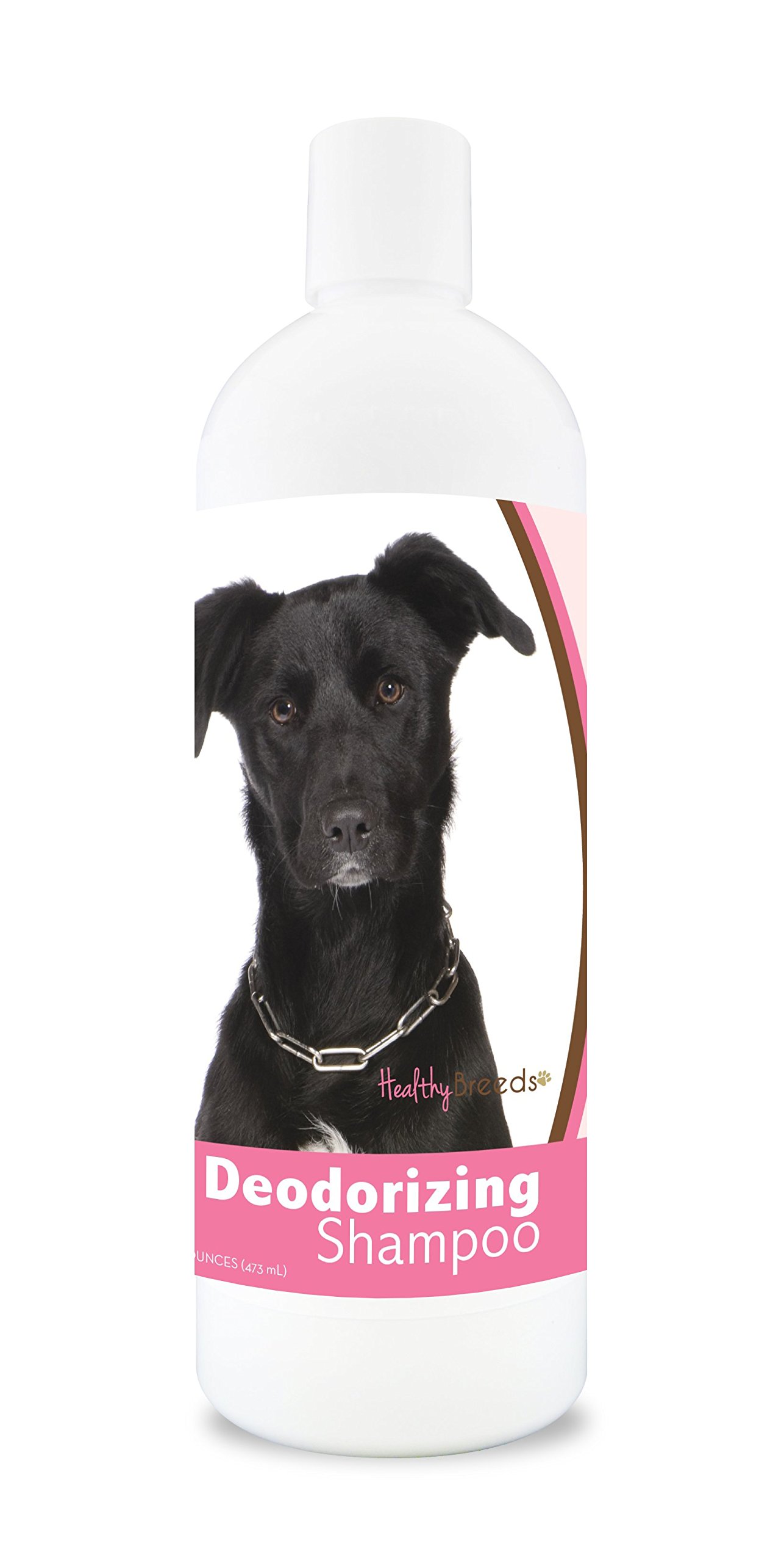 Healthy Breeds Mutt Deodorizing Shampoo for Dogs - 16 oz | pH Balanced, Hypoallergenic & Odor Eliminating Formula | Perfect for Bathing, Grooming & Freshening Up Your Pet