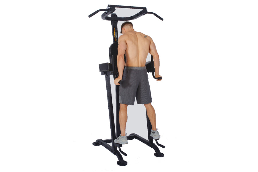 Powertec Basic Trainer & VKR Power Tower - Home Gym Equipment for Pull-Ups, Dips & Core Workouts | Perfect for Home Fitness & Strength Training (Summer Sale)
