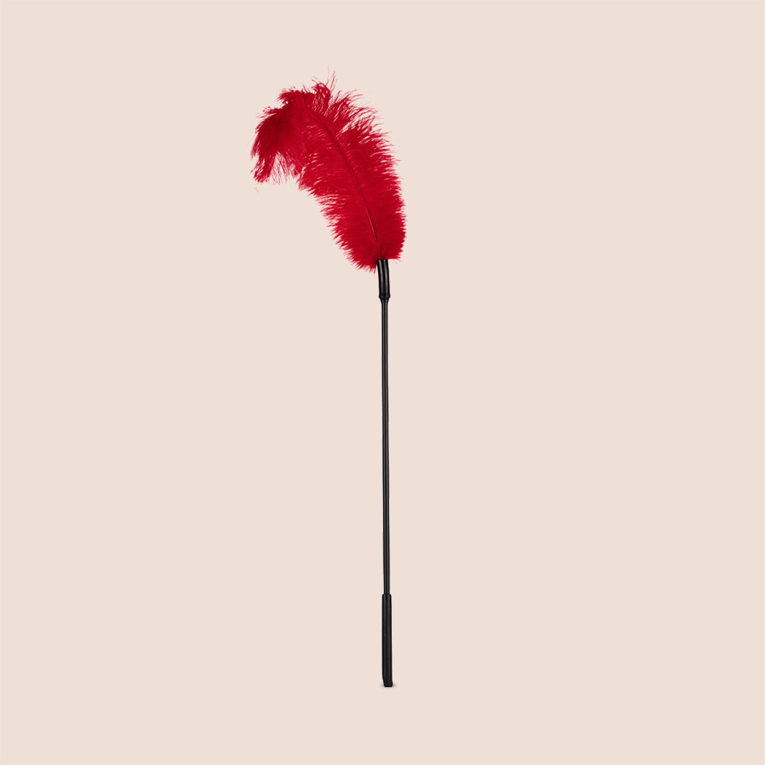Ostrich Tickler Adult Toy - Fun & Playful Feather Tickler with Sexy Game Guide for Couples & Parties | Enhance Intimacy & Spice Up Your Love Life