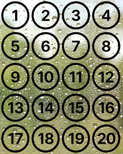 Transparent Numbers 1-20