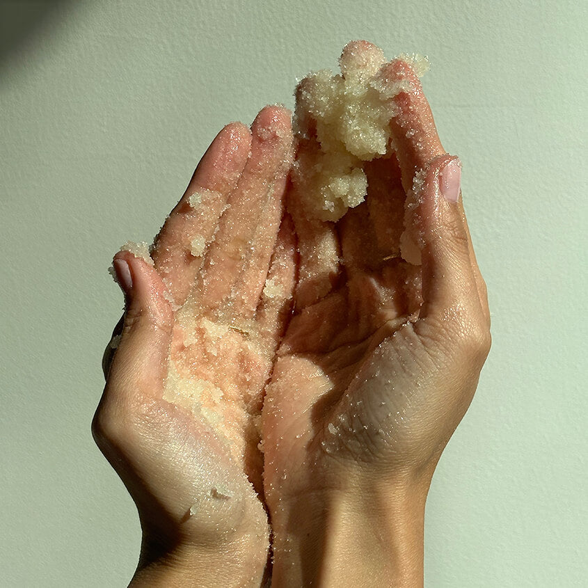 SCALP + BODY EXFOLIANT - Gentle Exfoliating Scrub for Scalp & Skin Care - Removes Dead Skin & Buildup - Perfect for Dry Scalp & Body Treatment at Home