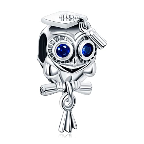 Completion of the Wise Owl