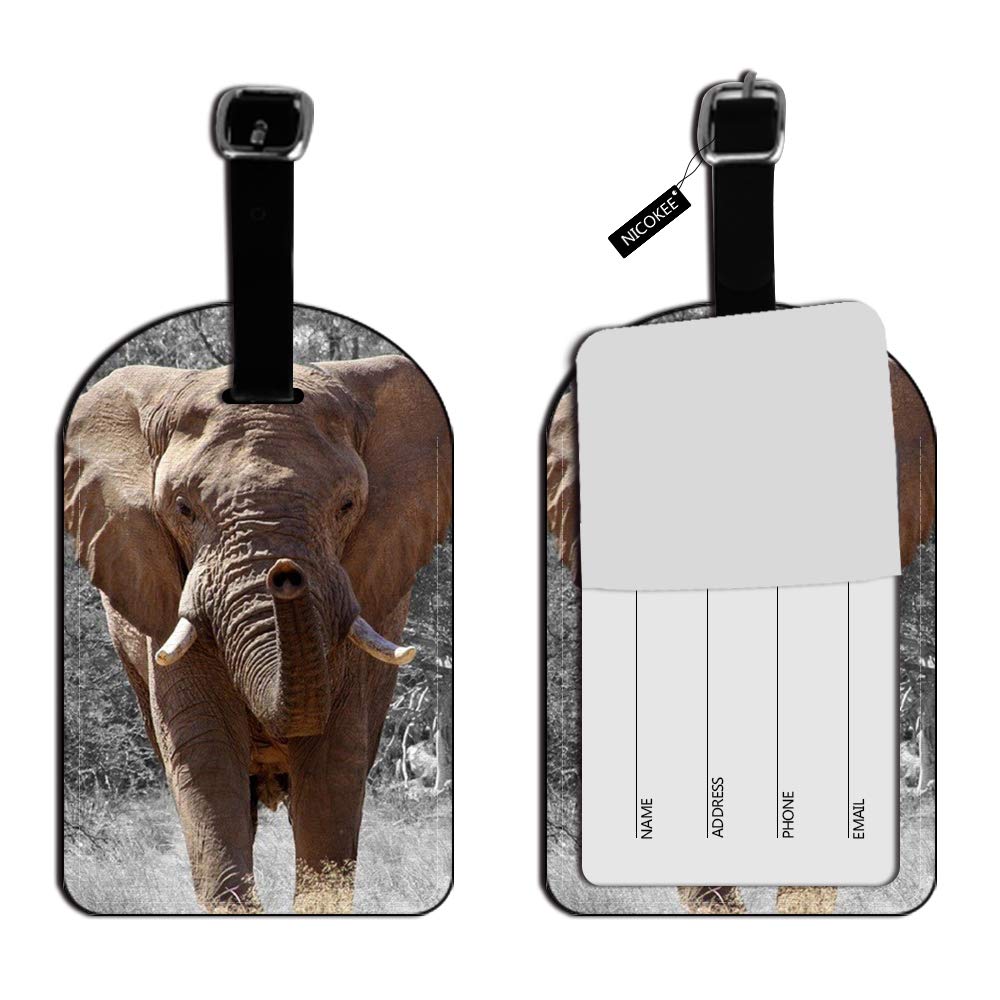 African Elephant Luggage Tag - Durable Suitcase Label & Travel Baggage Name Tag (1 Pack) - Perfect for Airports, Cruise Ships & Business Trips