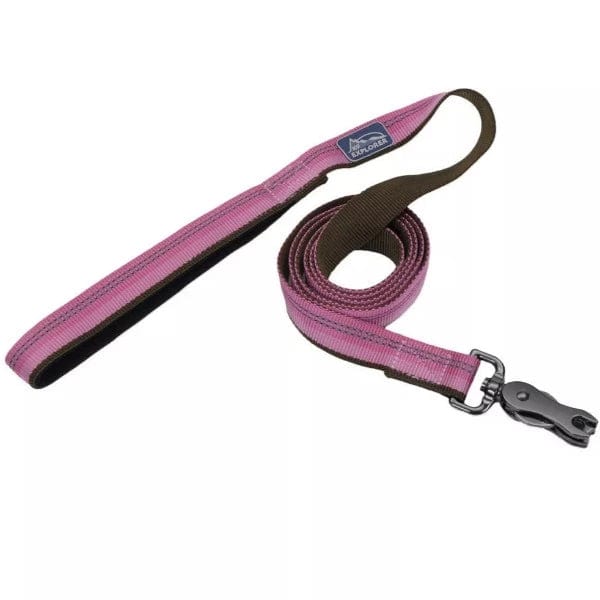 Durable Reflective Dog Leash with Scissor Snap - Strong Nylon Pet Leash for Medium & Large Dogs - Perfect for Night Walks, Jogging & Outdoor Adventures